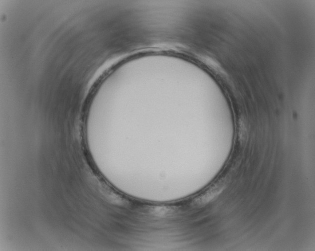 X0000062671412200601181849