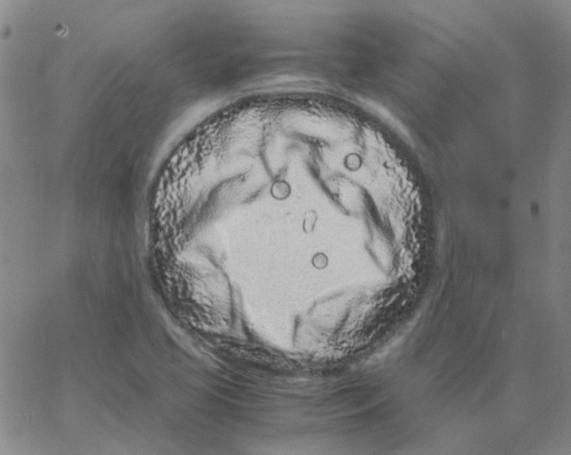 X0000062671413200601181849