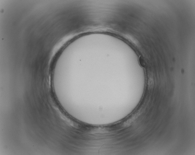 X0000062671414200601181849