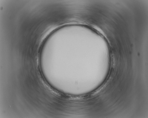 X0000062671415200601181849