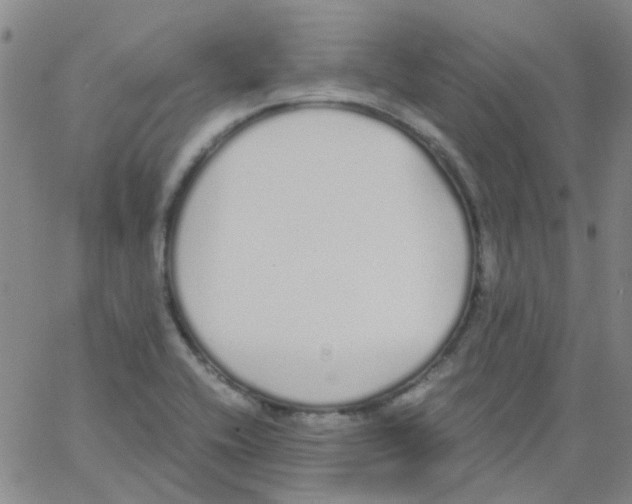 X0000062671416200601181849