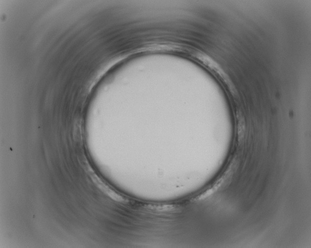 X0000062671417200601181849