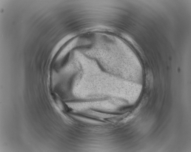 X0000062671418200601181849