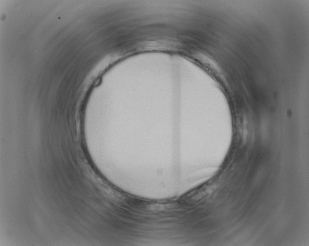 X0000062671419200601181849