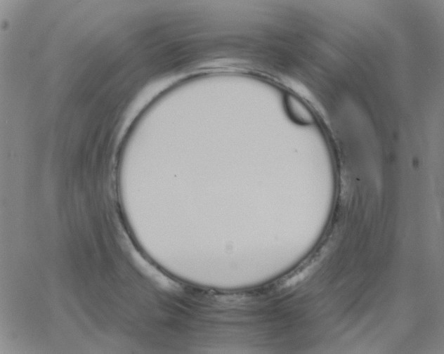 X0000062671421200601181849