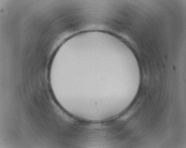 X0000062671422200601181849