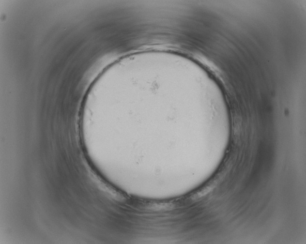 X0000062671423200601181849