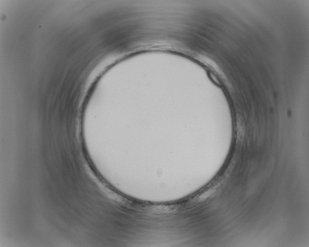 X0000062671424200601181849