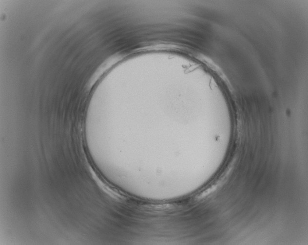 X0000062671425200601181849