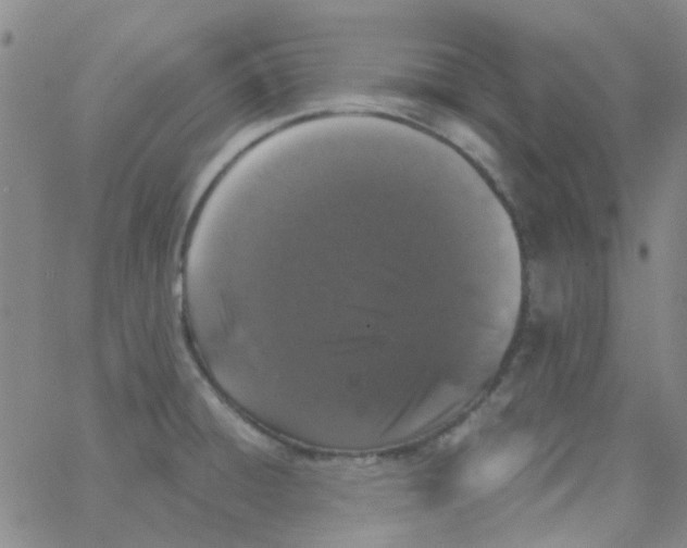 X0000062671428200601181849