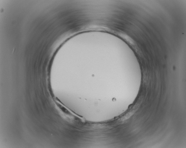 X0000062671430200601181849