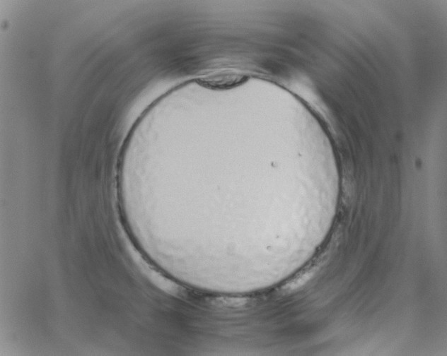 X0000062671431200601181849