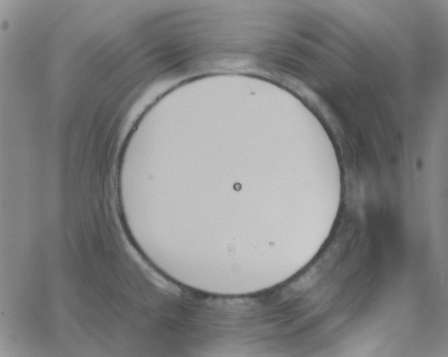 X0000062671432200601181849