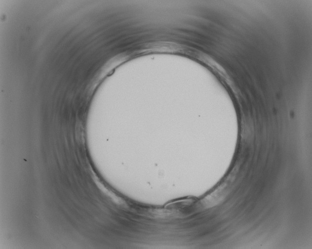 X0000062671433200601181849