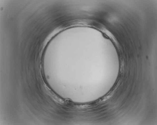 X0000062671435200601181849