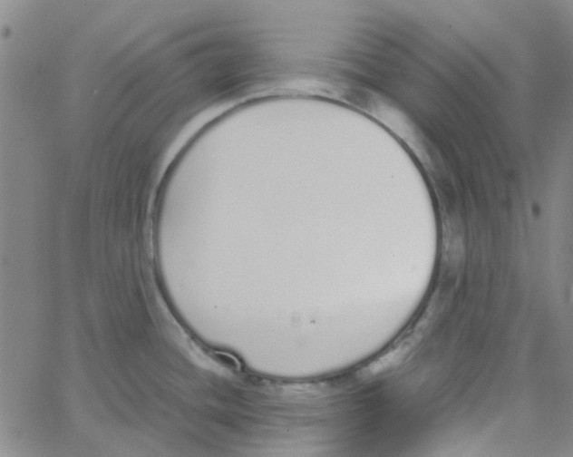 X0000062671436200601181849