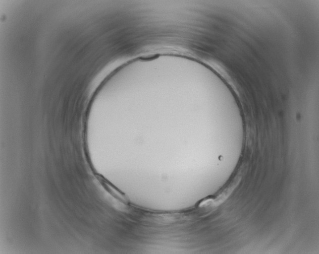 X0000062671438200601181849