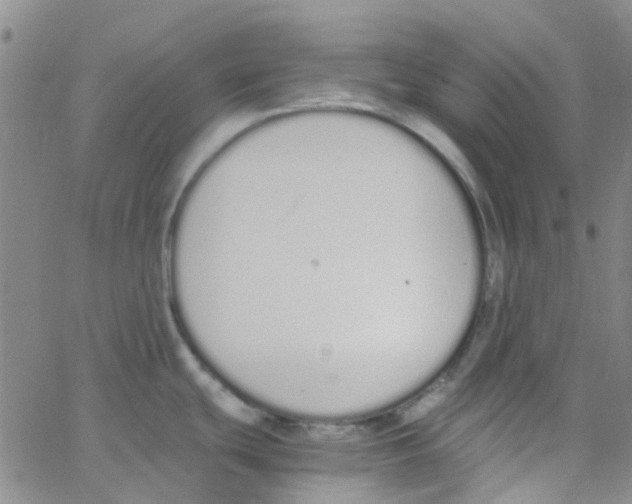 X0000062671439200601181849