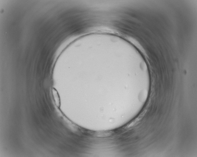 X0000062671440200601181849