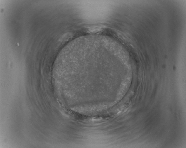 X0000062671441200601181849