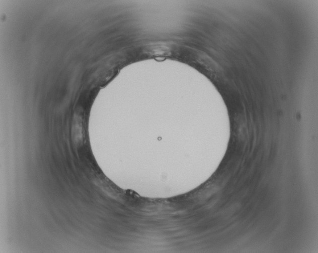 X0000062671442200601181849