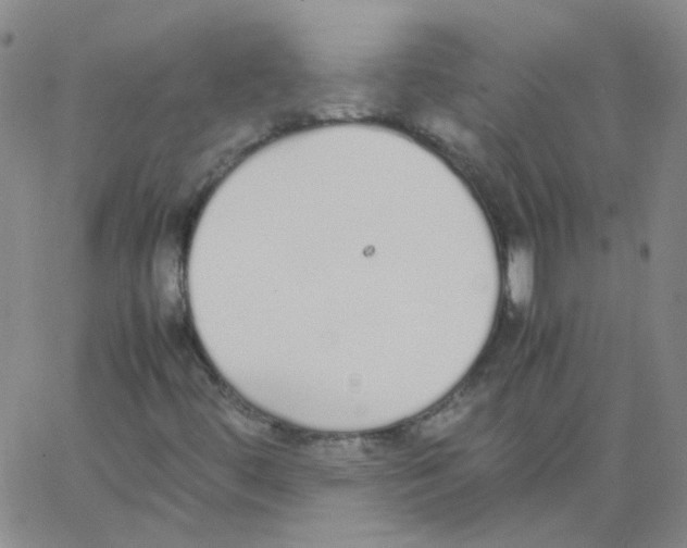 X0000062671444200601181848