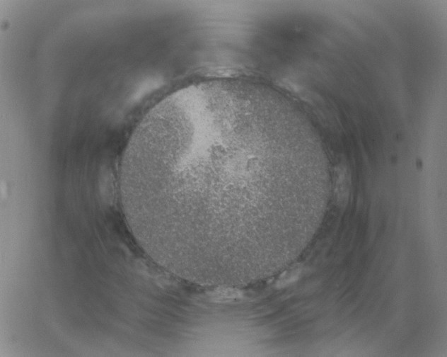 X0000062671446200601181848