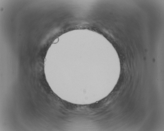 X0000062671447200601181848