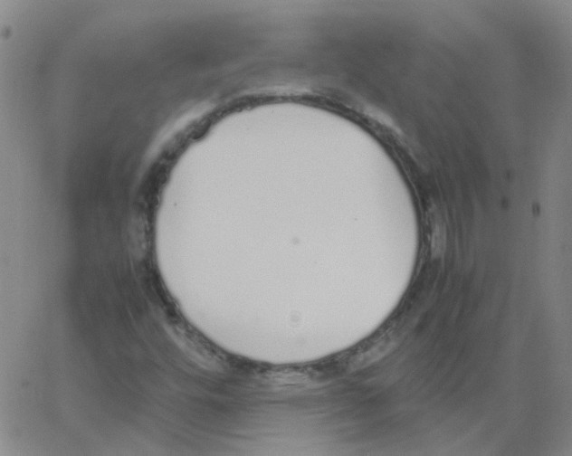 X0000062671448200601181848