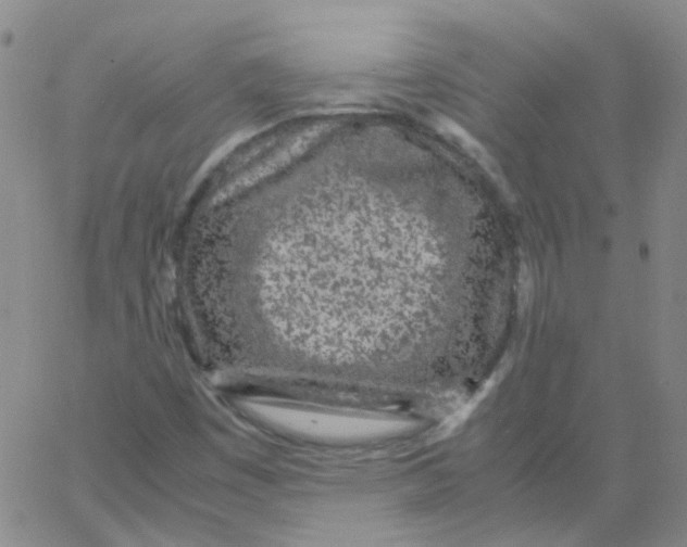 X0000062671449200601181848