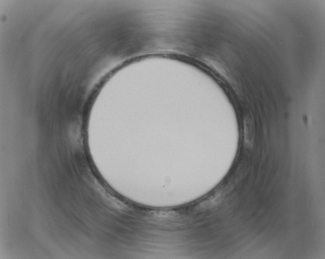 X0000062671452200601181848