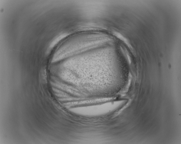 X0000062671453200601181848