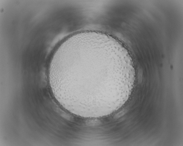 X0000062671454200601181848