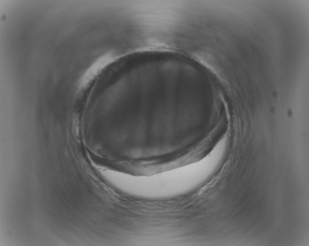 X0000062671455200601181848