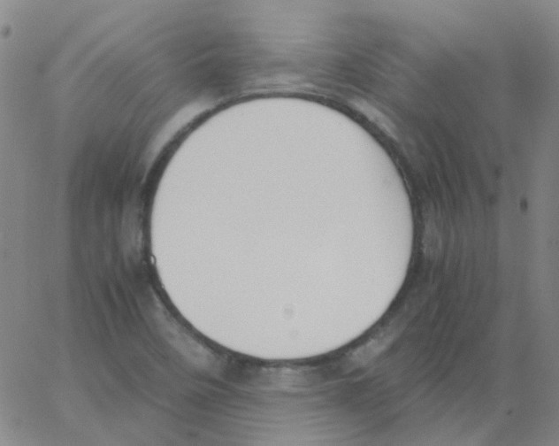 X0000062671458200601181848