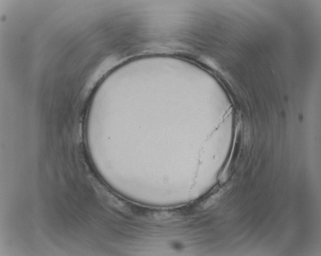 X0000062671459200601181848