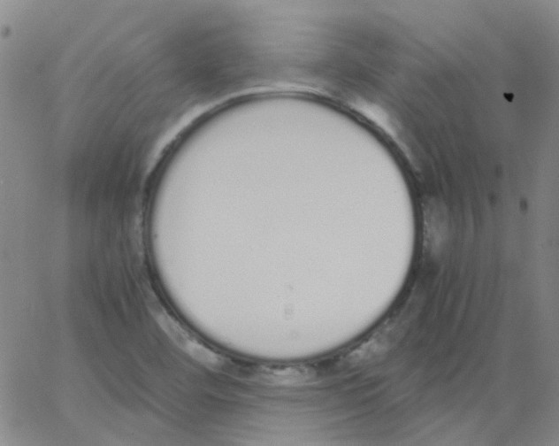 X0000062671460200601181848