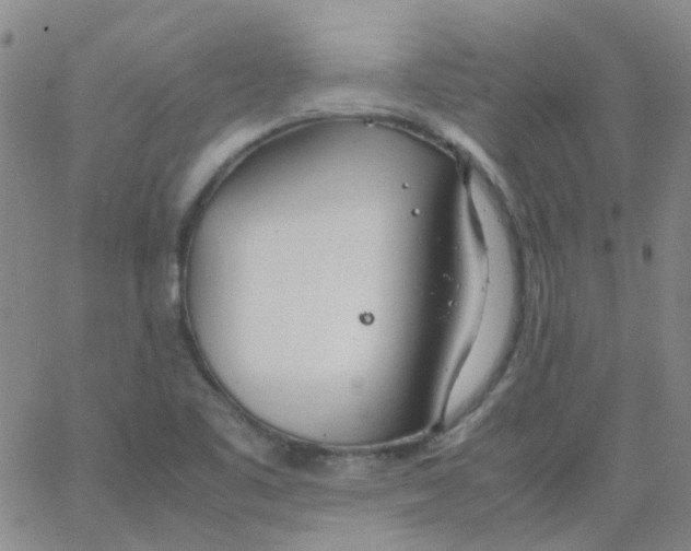 X0000062671461200601181848