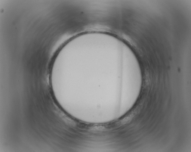 X0000062671462200601181848