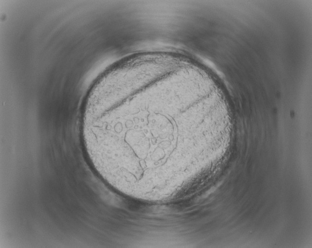 X0000062671463200601181848