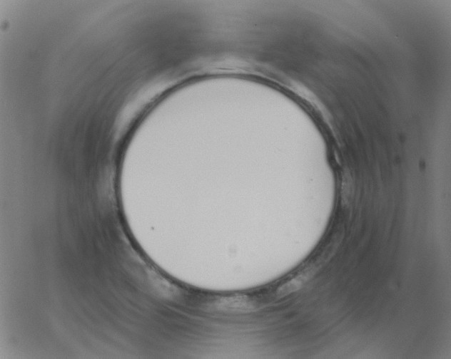 X0000062671464200601181848