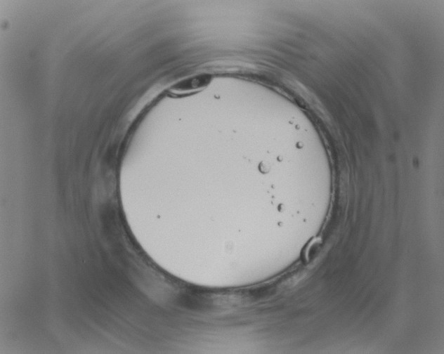 X0000062671465200601181848