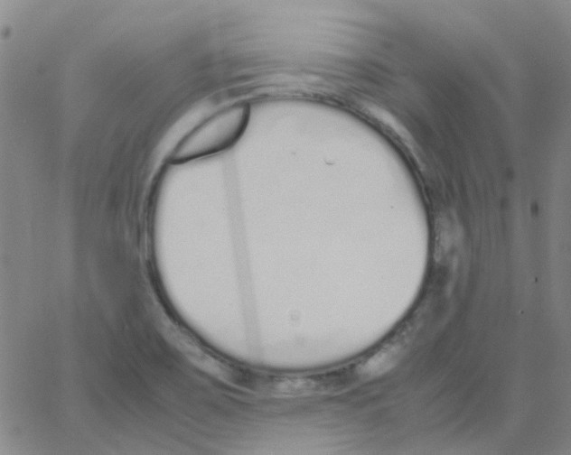 X0000062671467200601181848