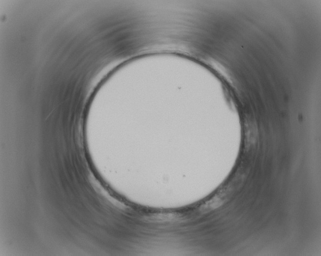 X0000062671468200601181848