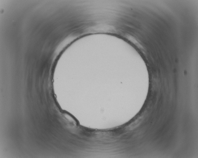 X0000062671469200601181848