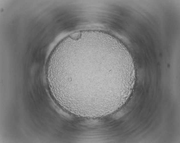 X0000062671470200601181848