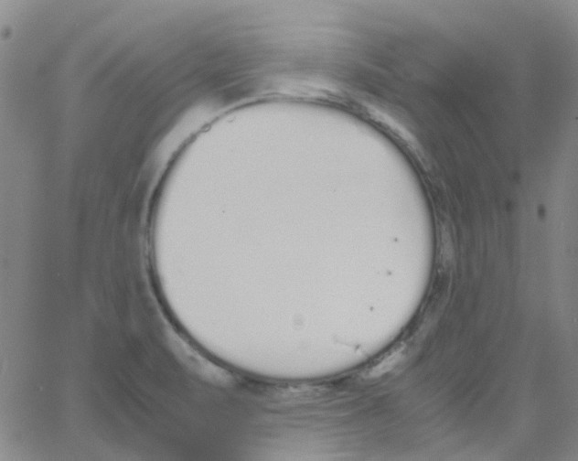 X0000062671471200601181848