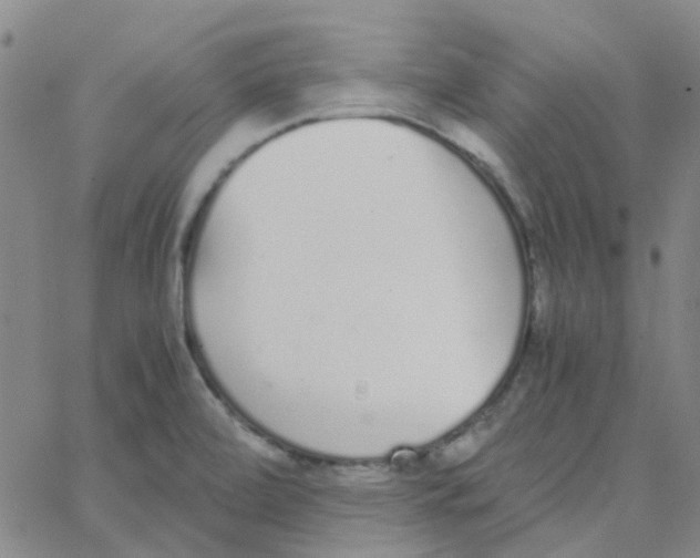 X0000062671472200601181848