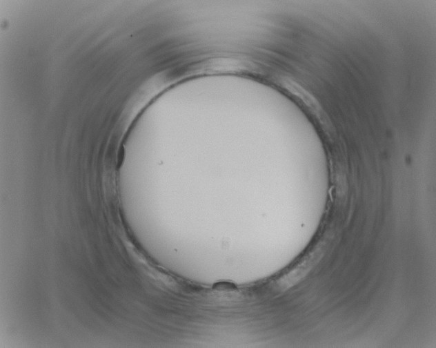 X0000062671473200601181848