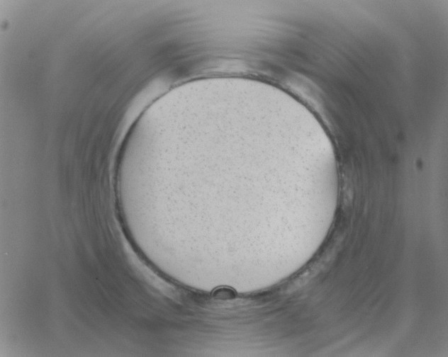 X0000062671475200601181848